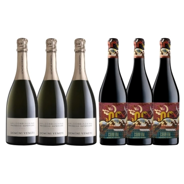 Pachet Cadou Domini Veneti Mix 02 – Sticla vin – DOMINI VENETI