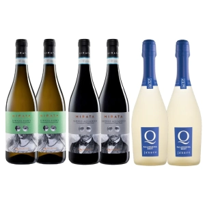 Pachet Cadou La Guardiense Mix 02 – Sticla vin – GUARDIENSE