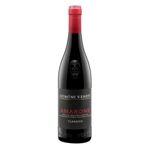 DOMÌNI VENETI AMARONE DELLA VALPOLICELLA DOCG CLASSICO 0,75L