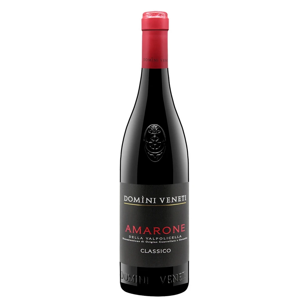 DOMÌNI VENETI AMARONE DELLA VALPOLICELLA DOCG CLASSICO 0,75L